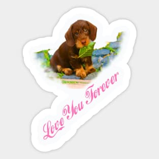 Love You Forever Sticker